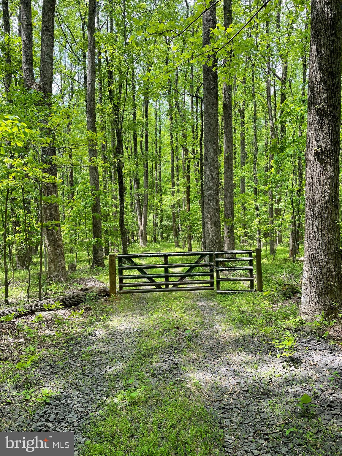 3440 Bull Run Mountain Road The Plains, VA 20198 - Photo 3 of 31 Driveway already installed off Bull Run Mtn Road