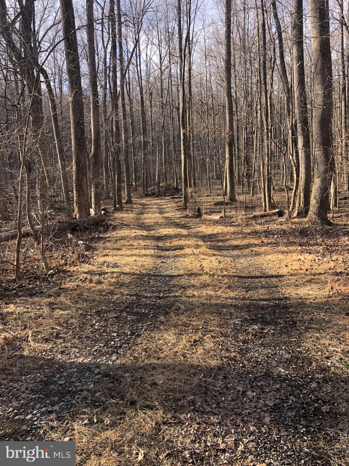 3440 Bull Run Mountain Road The Plains, VA 20198 - Photo 5 of 31 Driveway leads up to the open building site