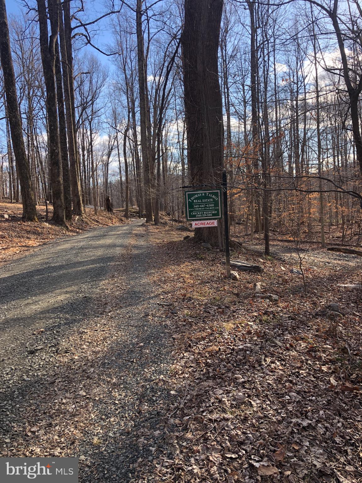 3440 Bull Run Mountain Road The Plains, VA 20198 - Photo 6 of 31 View of entrance from Bull Run Mountain Road