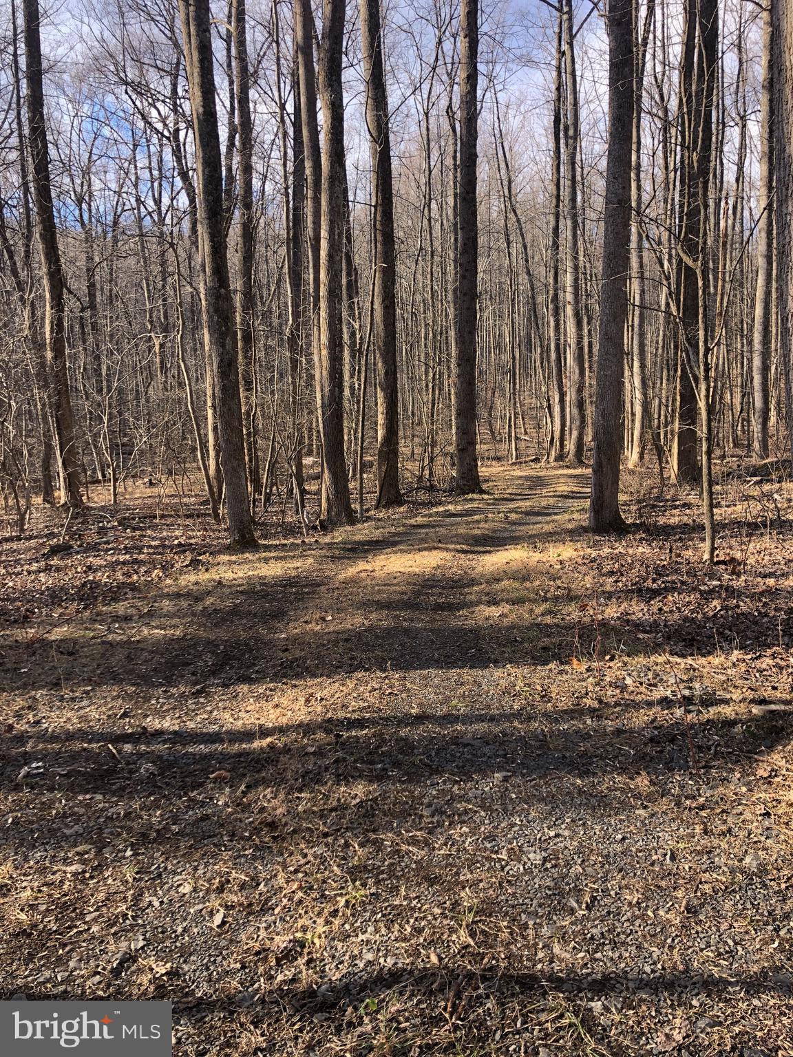 3440 Bull Run Mountain Road The Plains, VA 20198 - Photo 7 of 31 Driveway has gentle turns as it heads to the top