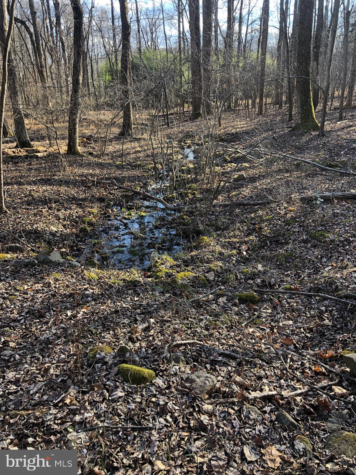 3440 Bull Run Mountain Road The Plains, VA 20198 - Photo 10 of 31 Small springs on the property