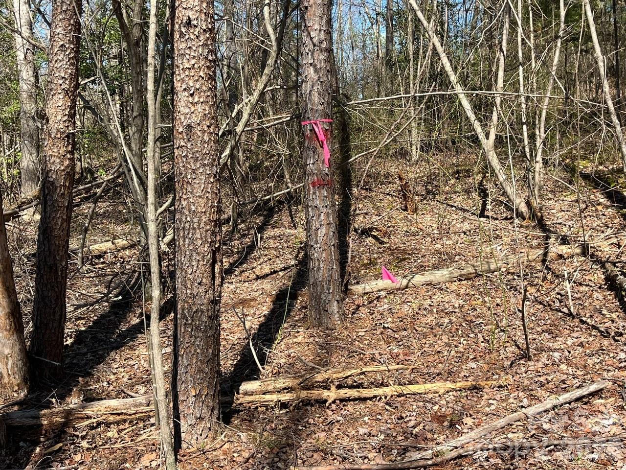 V/l Vein Mountain Road, Unit 2 Nebo, NC 28761 - Photo 10 of 15
