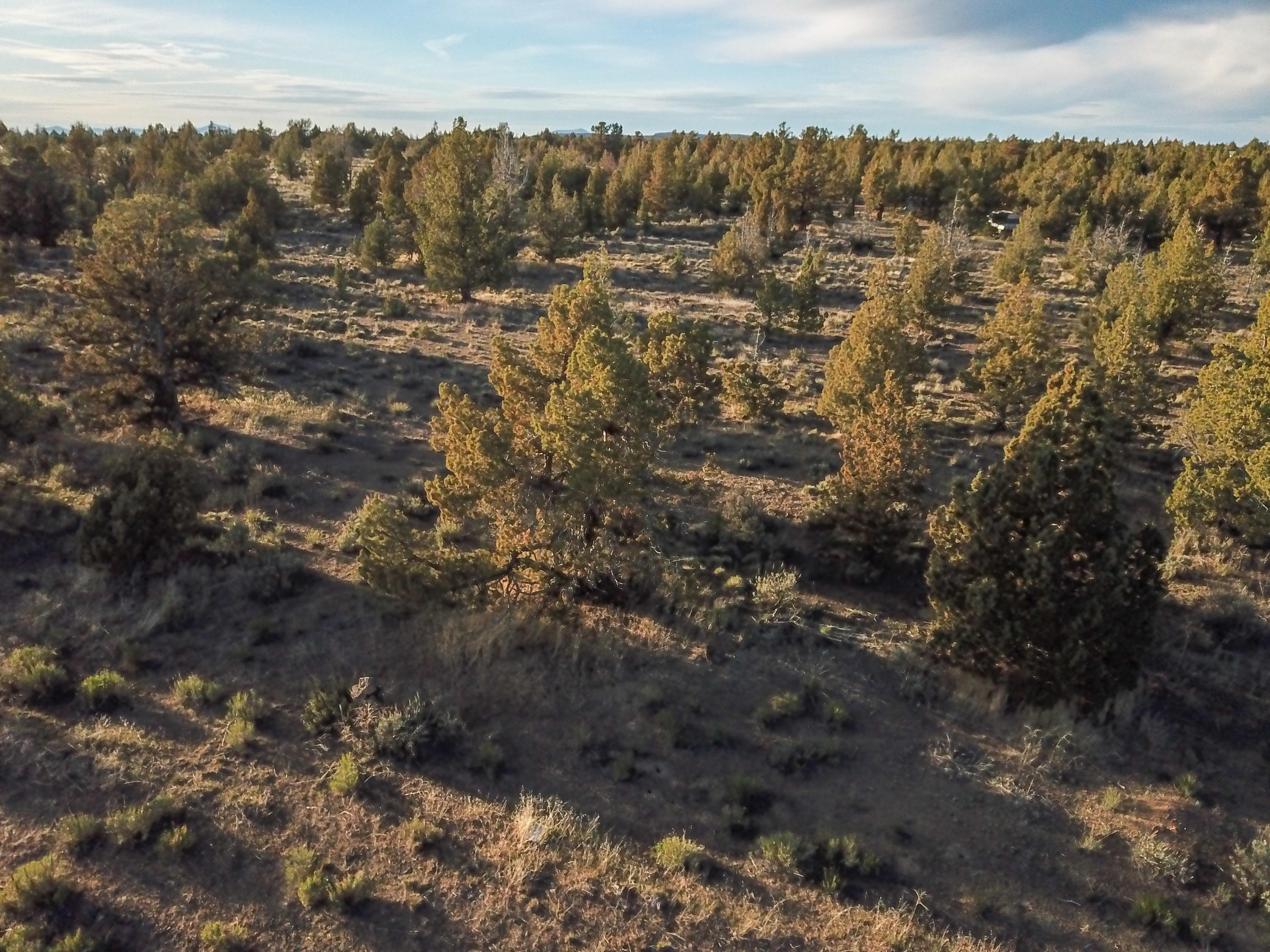 Southeast Klamath Road Prineville, OR 97754 - Photo 15 of 20 DJI_0025