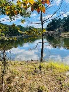 0 Broomstraw Road Johnston, SC 29832 - Photo 20 of 22