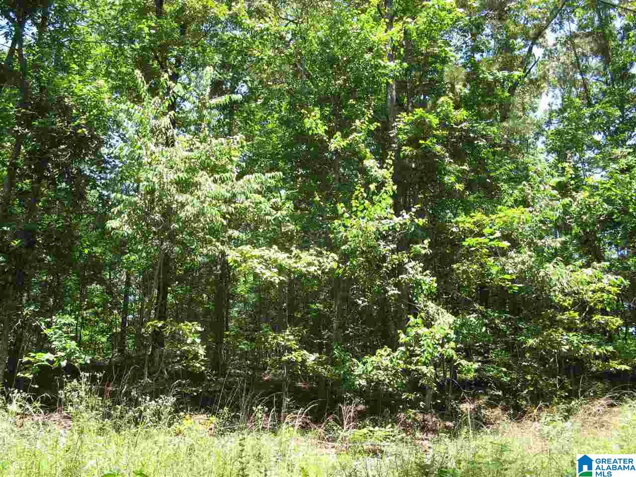 Azalea Road, Unit 3 & 4 Sylacauga, AL 35150 - Photo 4 of 5