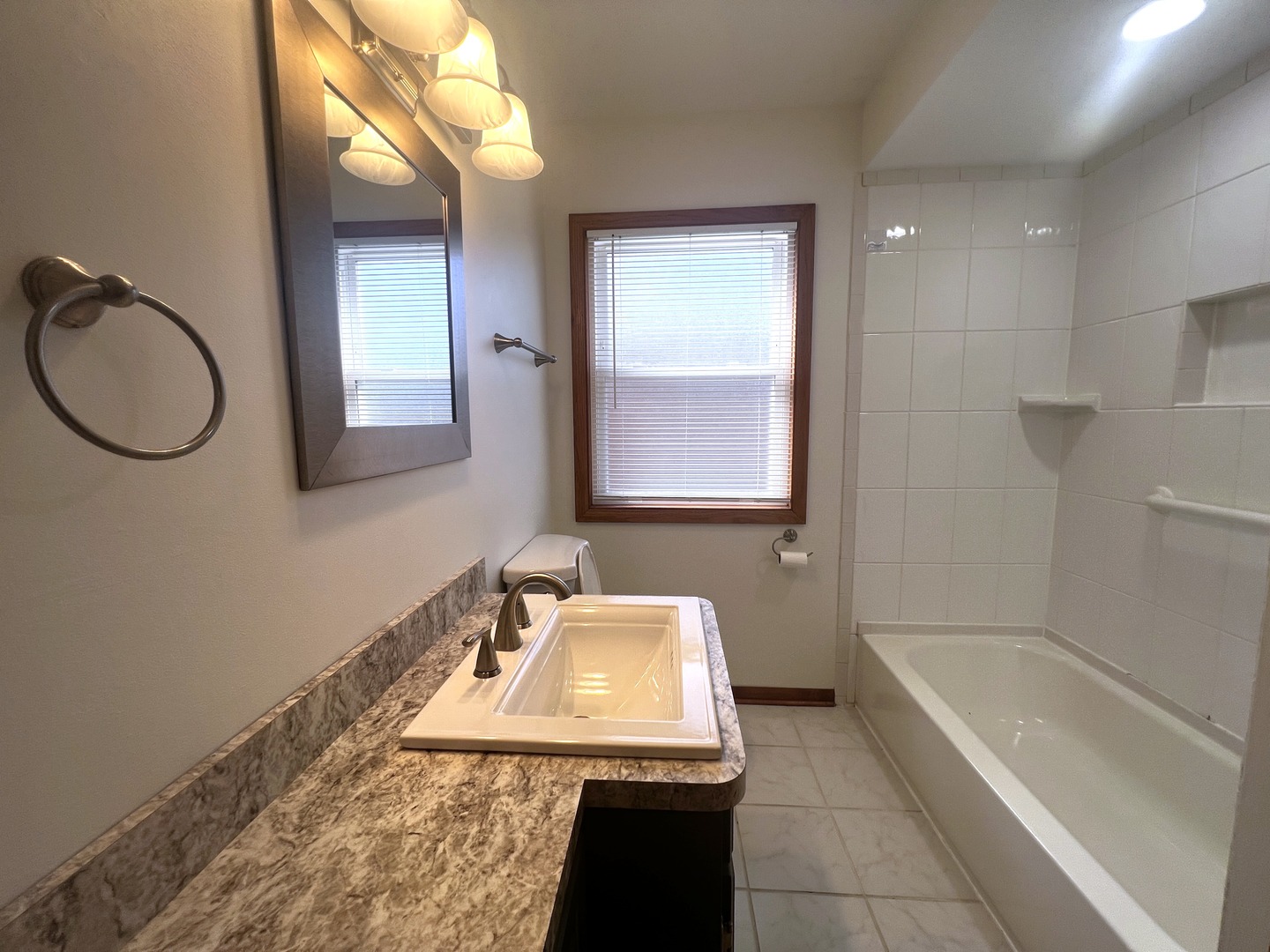 1741 Evergreen Road Homewood, IL 60430 - Photo 14 of 18