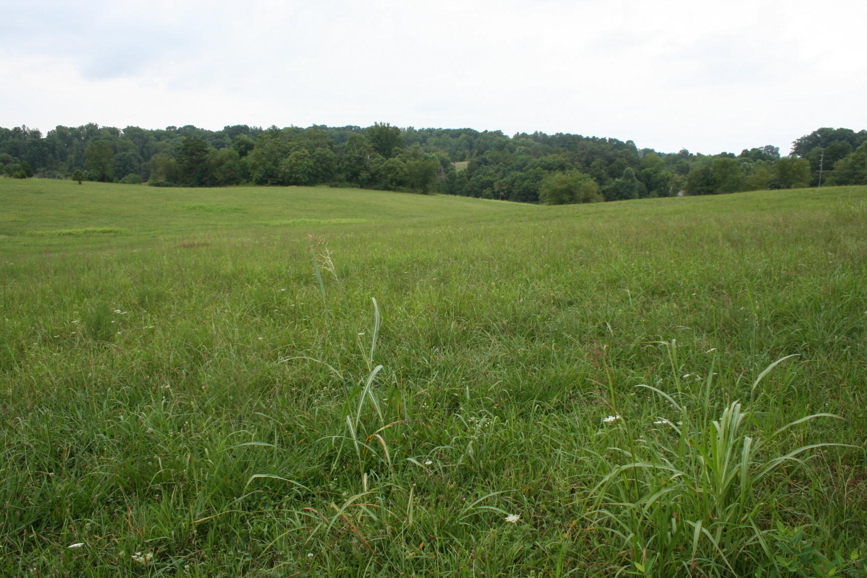 Lot 3 Lizard Ridge Road Bedford, VA 24523 - Photo 3 of 6 Land