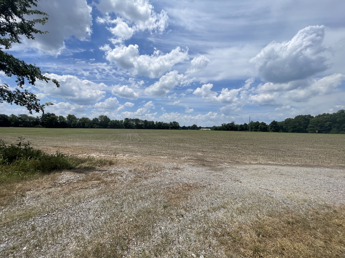 Tbd Old Bainbridge Road Marion, IL 62959 - Photo 1 of 3