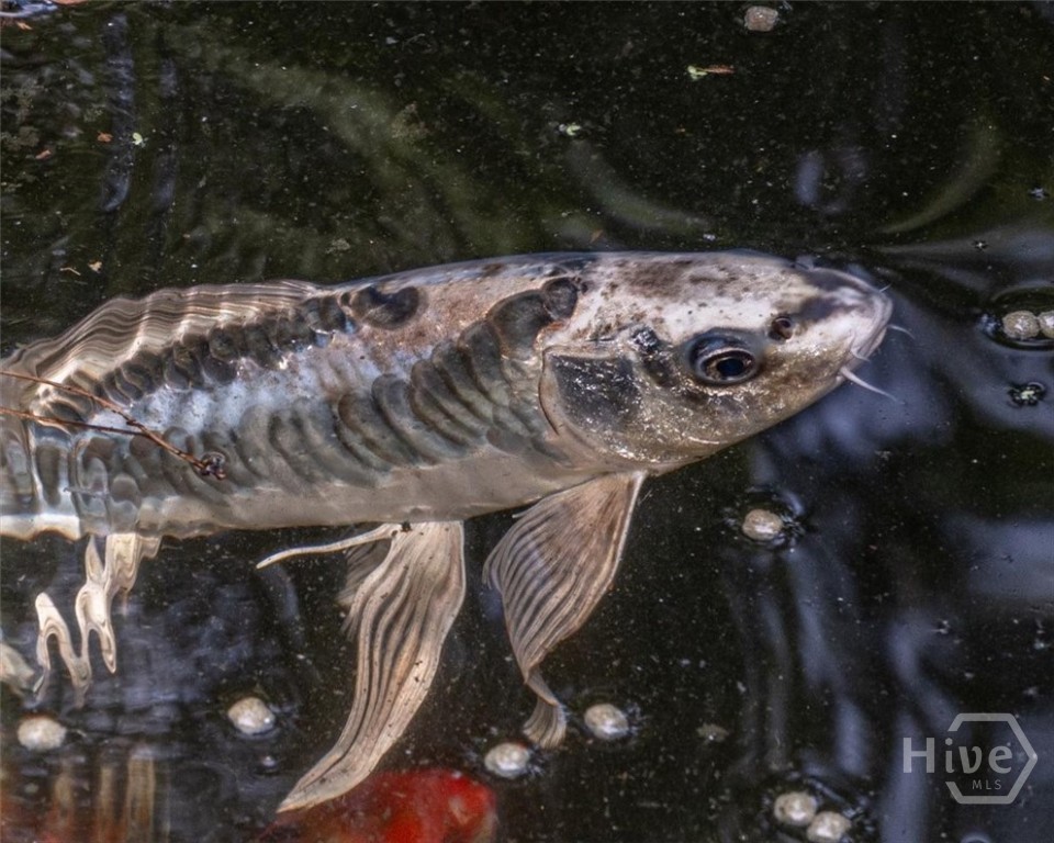 5109 Tallassee Road Athens, GA 30607 - Photo 44 of 61