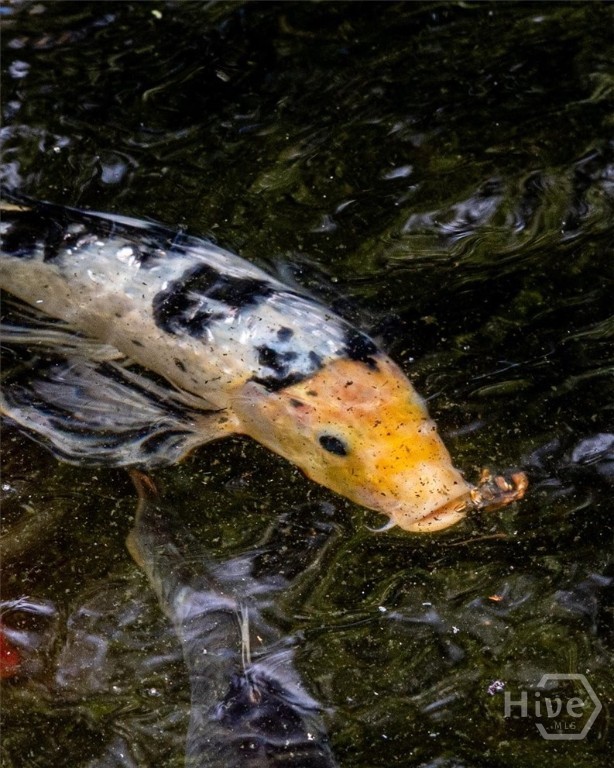5109 Tallassee Road Athens, GA 30607 - Photo 45 of 61