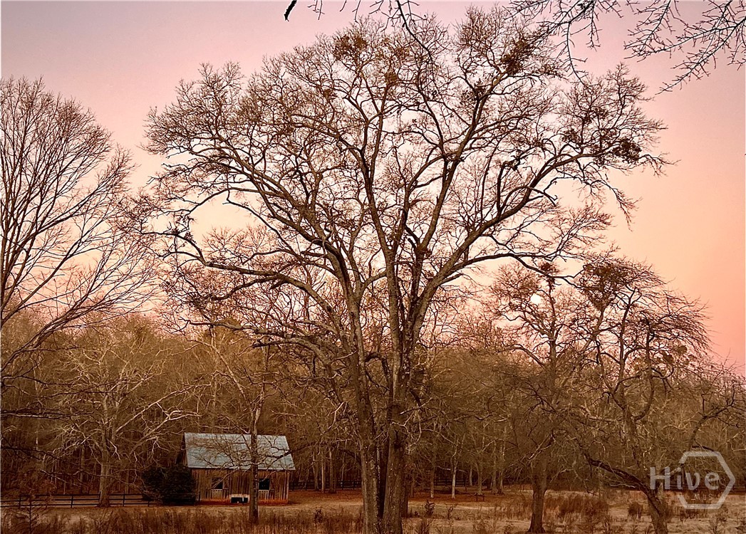 5109 Tallassee Road Athens, GA 30607 - Photo 60 of 61