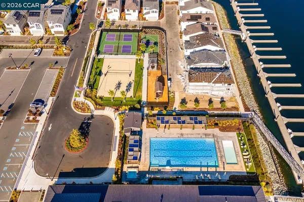 a swimming pool with a yard and palm tree