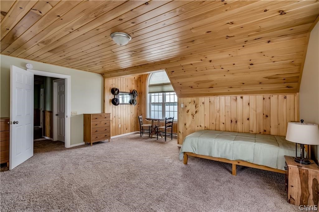28008 Stony Point Road Cape Vincent, NY 13618 - Photo 29 of 47