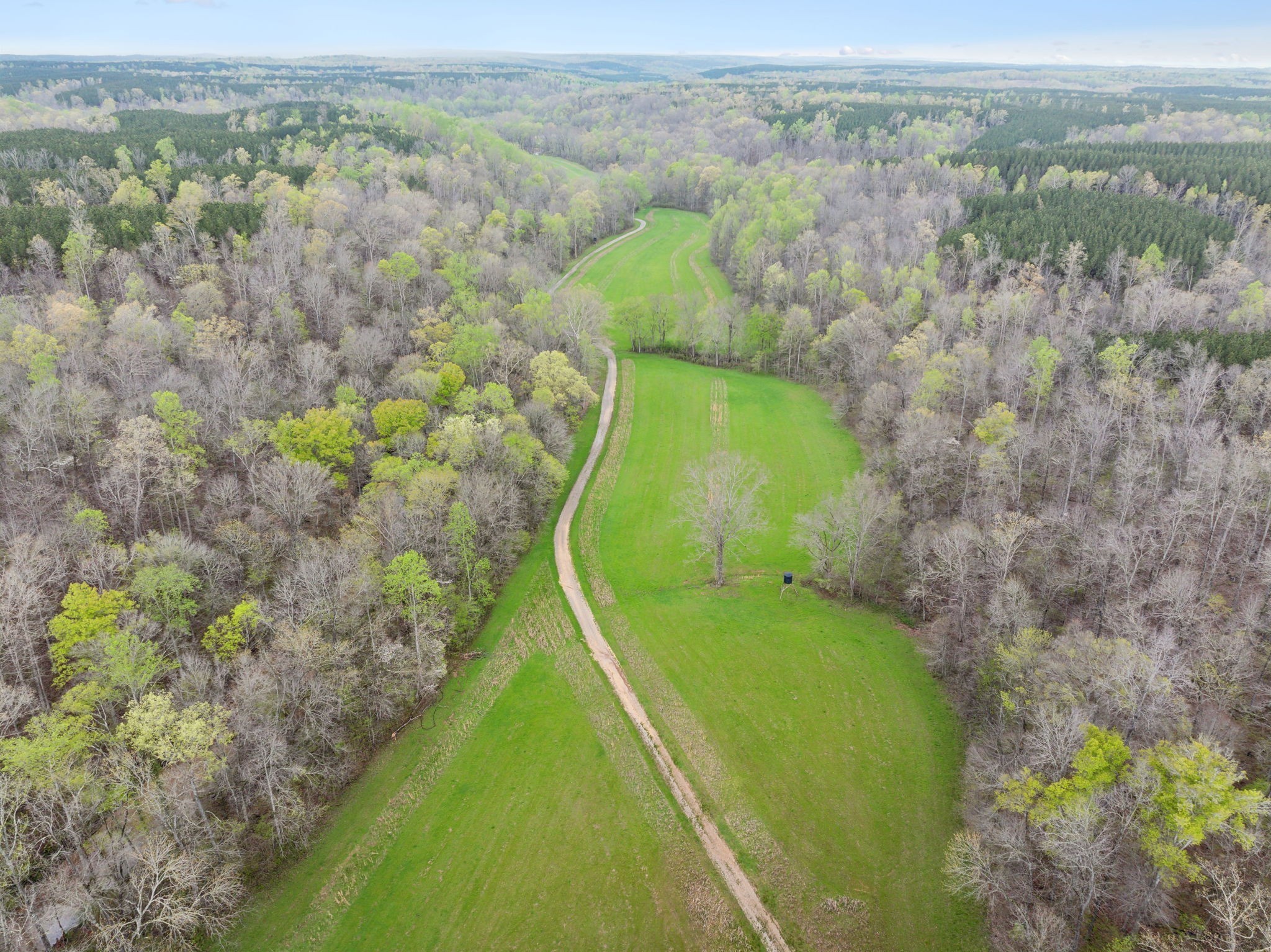 3105 Coy Hill Road Olivehill, TN 38475 - Photo 90 of 100