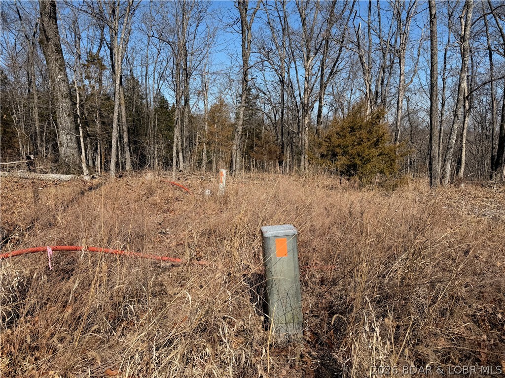 Lot 1080 Shawnee Bend Road Sunrise Beach, MO 65079 - Photo 2 of 4