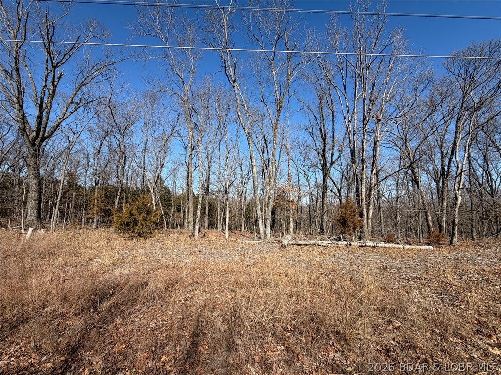 Lot 1080 Shawnee Bend Road Sunrise Beach, MO 65079 - Photo 4 of 4