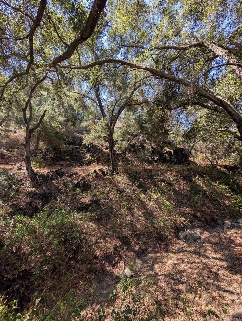 18868 Paradise Mountain Road Valley Center, CA 92082 - Photo 32 of 33