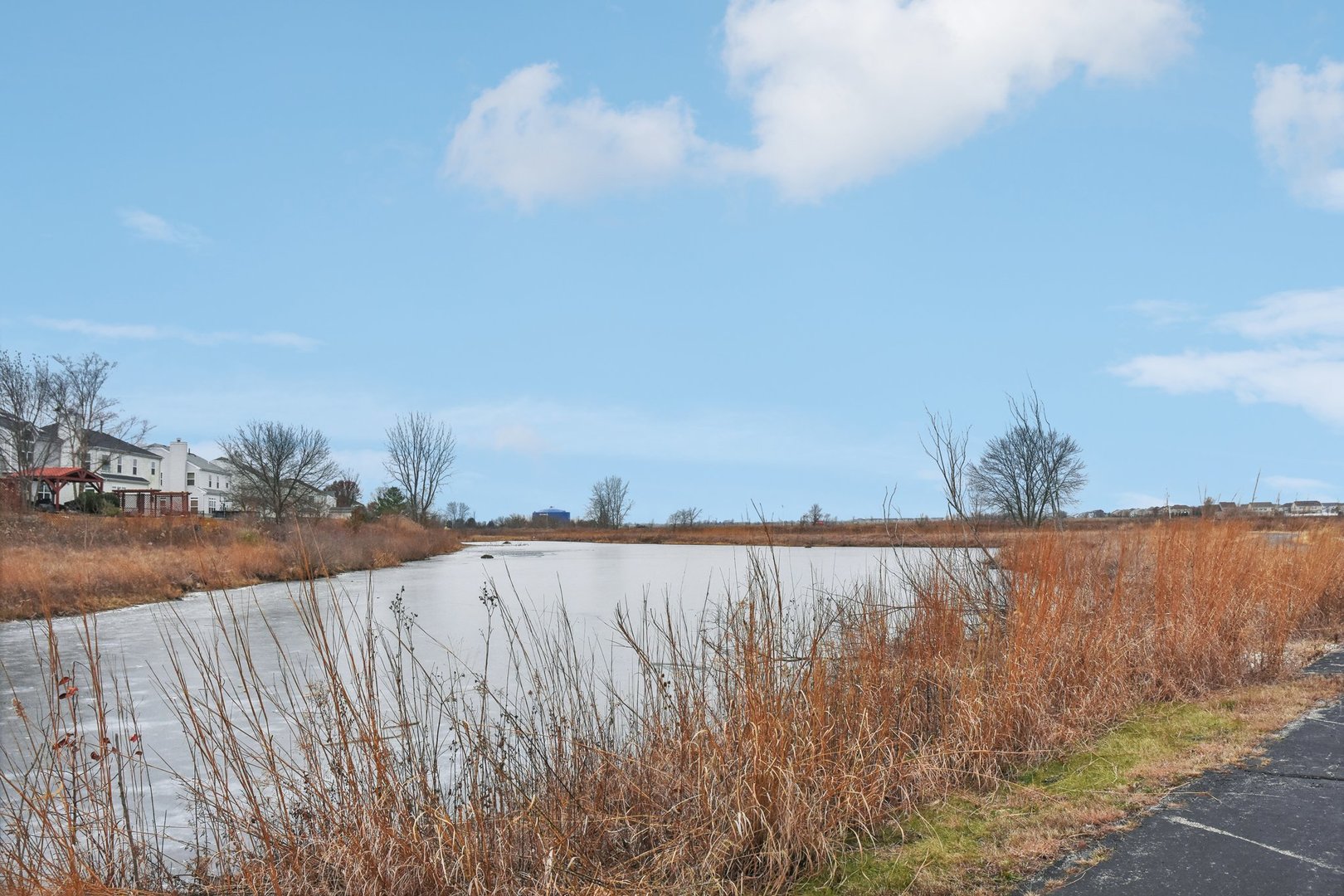1608 Prairieview Boulevard Bolingbrook, IL 60490 - Photo 49 of 55 a view of beach and lake