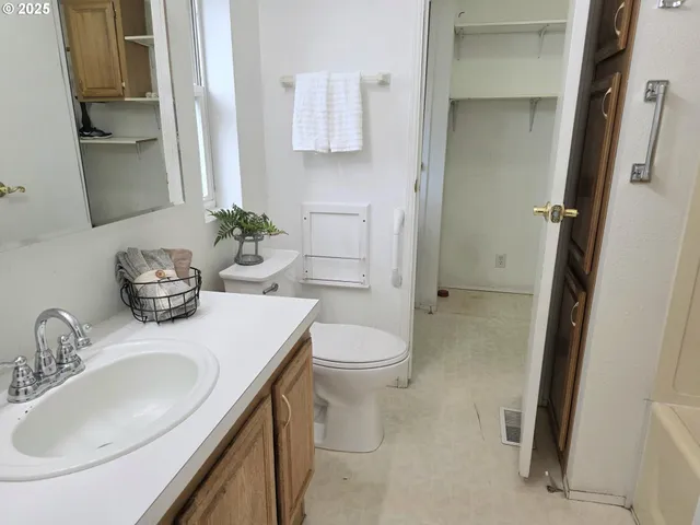 a bathroom with a sink a mirror and a potted plant