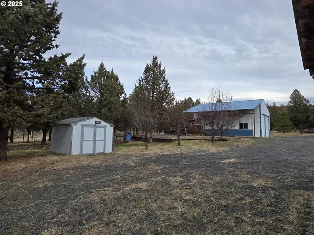 a view of backyard and trees