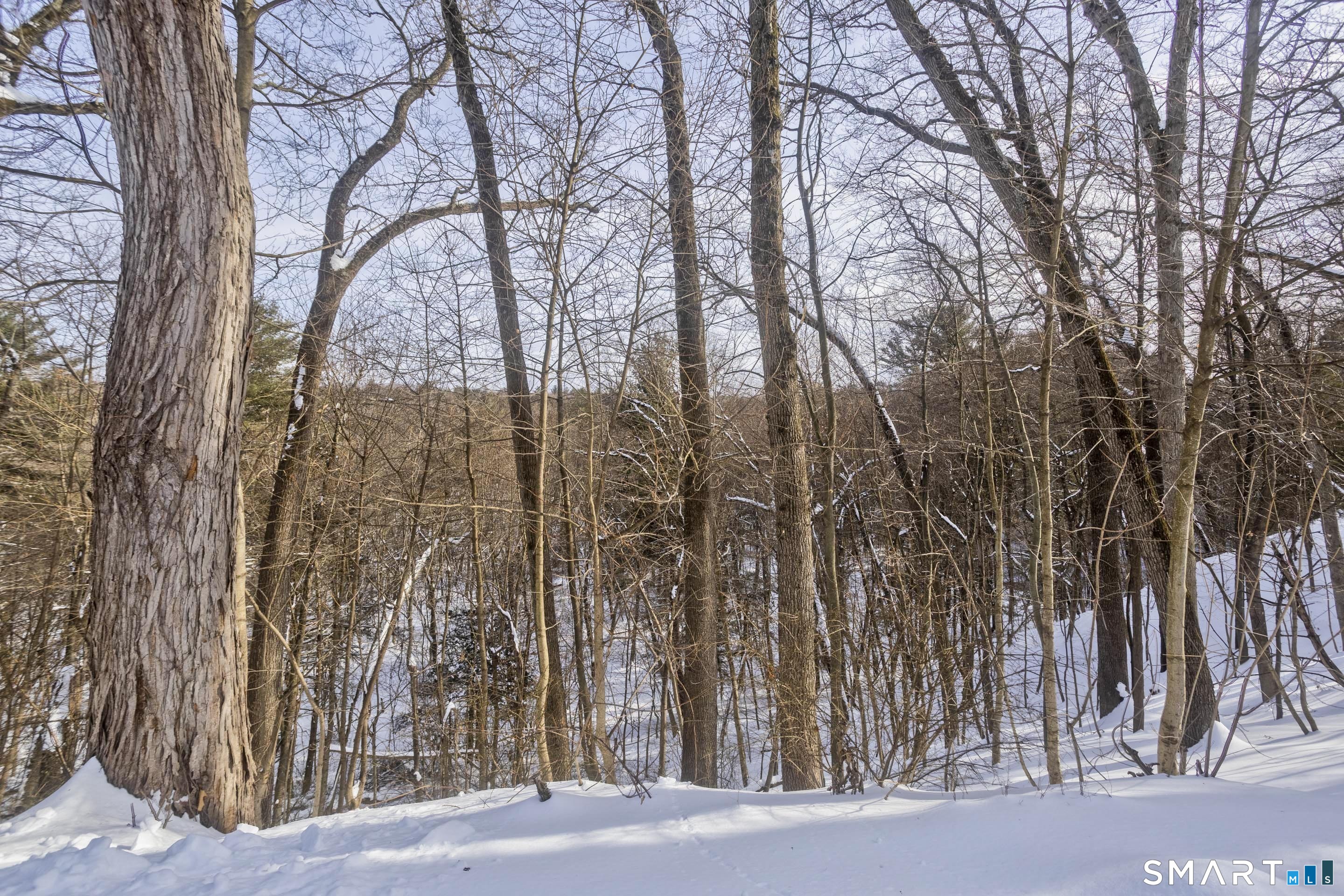 4 Sky Street Enfield, CT 06082 - Photo 6 of 33