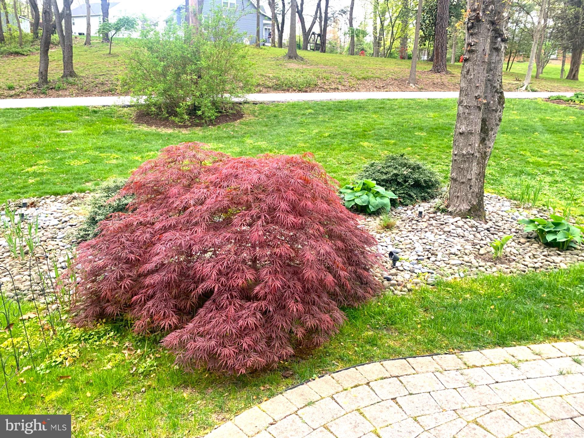 1750 Maple Avenue Hanover, MD 21076 - Photo 38 of 41 Nicely landscaped front yard