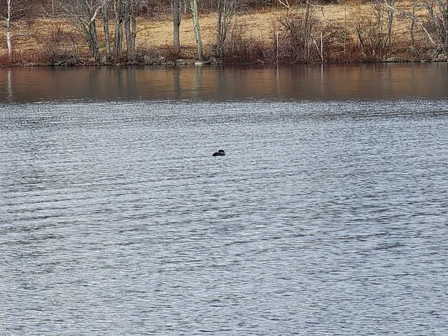 $49,900 | 5 Goose River Estates, Swanville, ME 04915