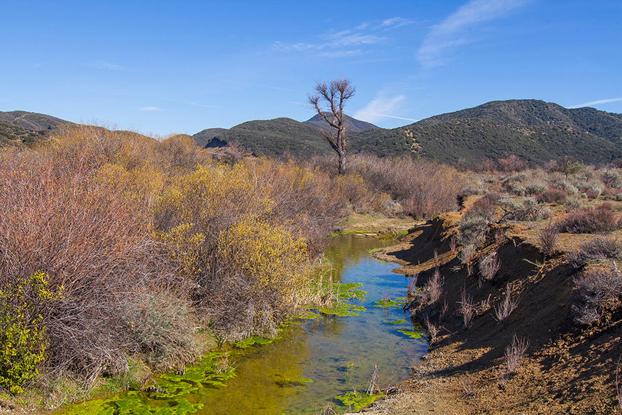 0 Rose Valley Road Ojai, CA 93023 - Photo 3 of 15 a view of a lake in middle of the forest