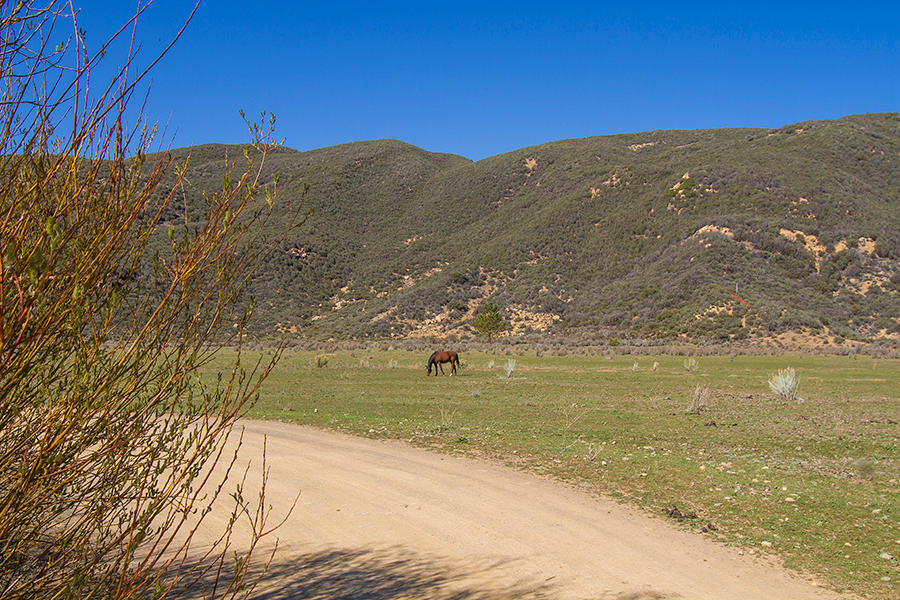 0 Rose Valley Road Ojai, CA 93023 - Photo 10 of 15 a view of ocean and a mountain