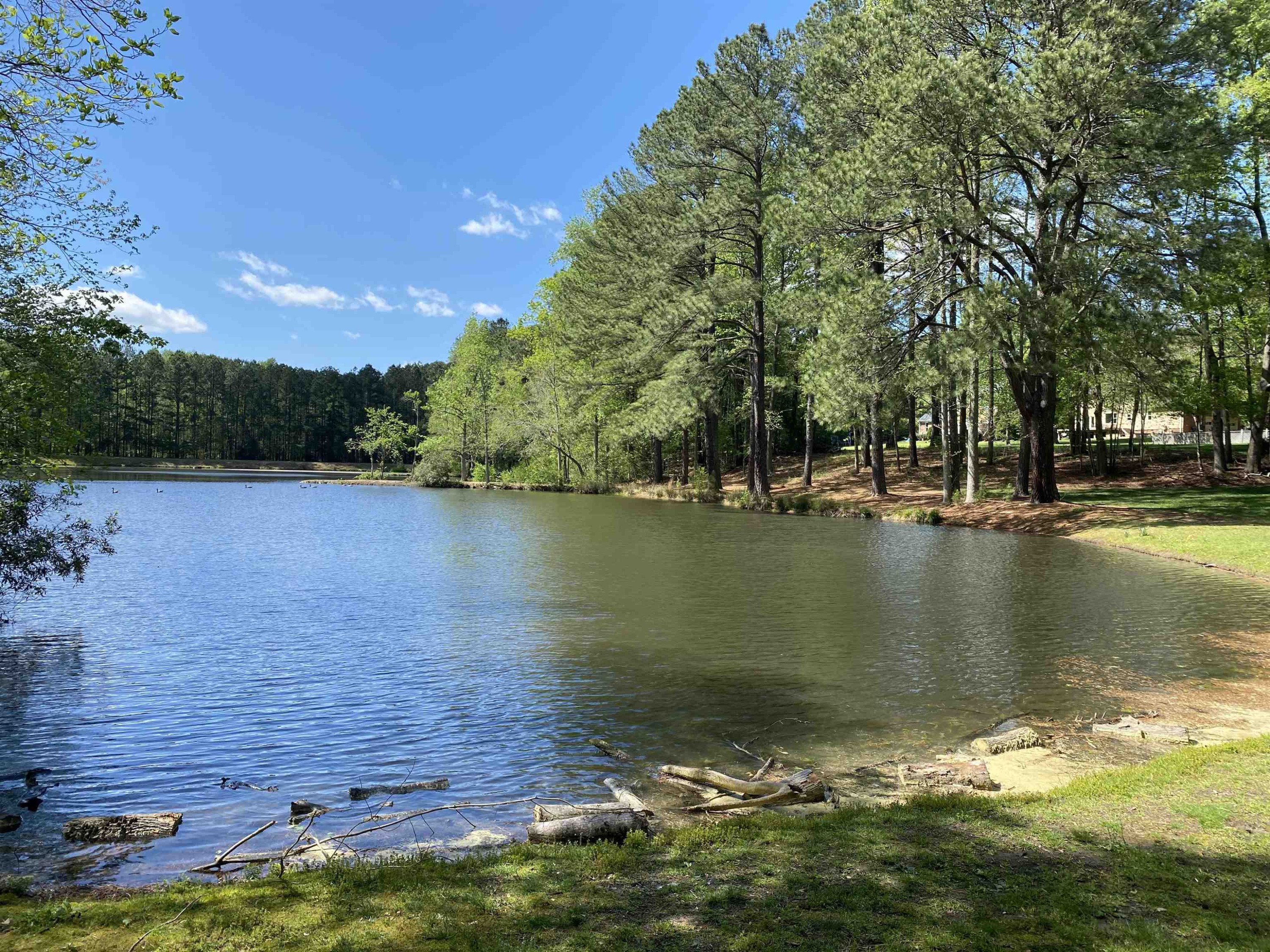 1128 Berwyn Way Raleigh, NC 27615 - Photo 27 of 27 Lake