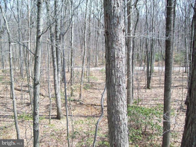 10548 Bethel Road Frederick, MD 21702 - Photo 5 of 7 Wooded View / Acreage 2