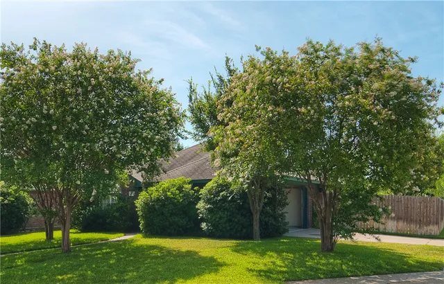 a view of a backyard with large trees