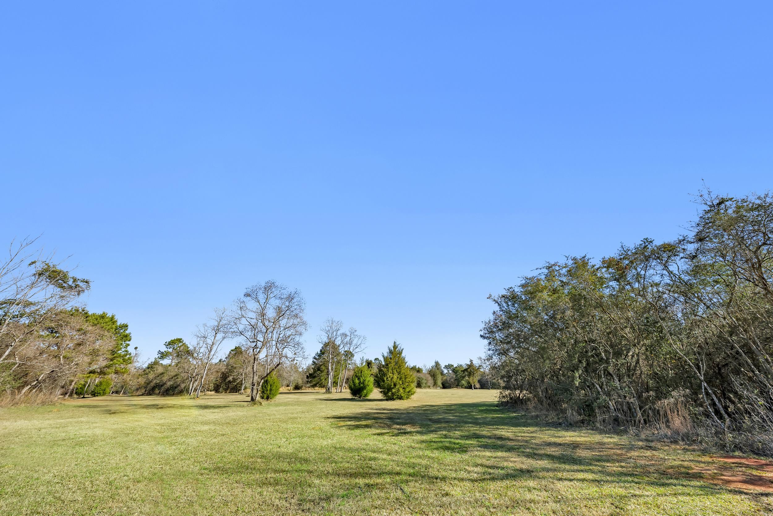 16691 Mosley Road Stapleton, AL 36578 - Photo 16 of 32 Yard