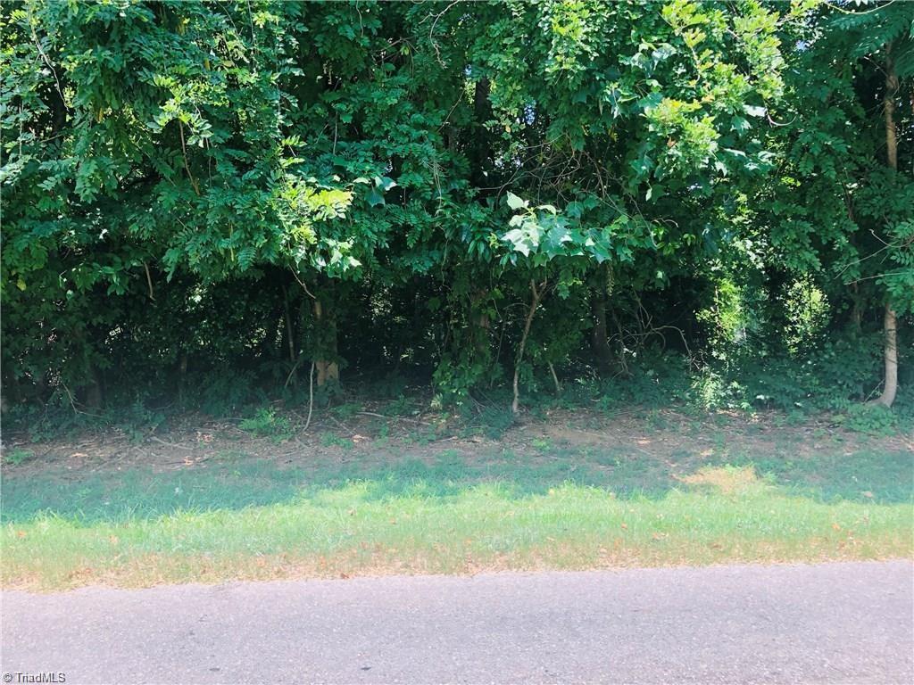 Tbd Jones School Road Mount Airy, NC 27030 - Photo 2 of 2 Gallery Image 2