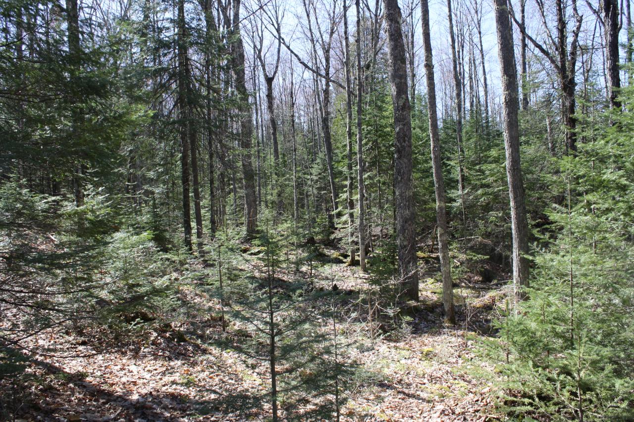 On Powderhorn Road, Unit 134635 Presque Isle, WI 54557 - Photo 8 of 11 Gallery Image 8