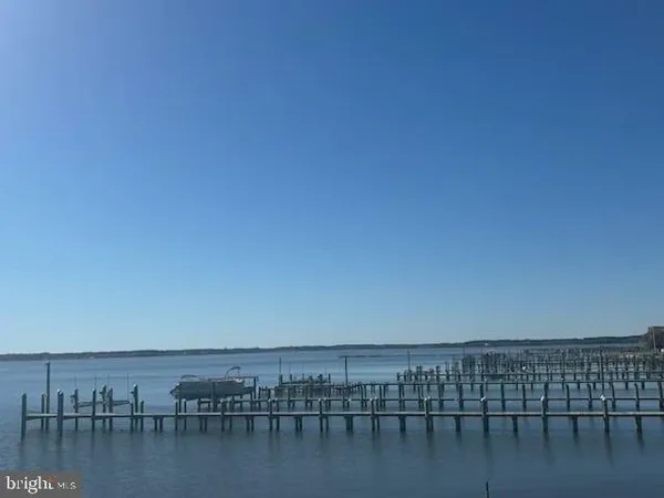 a view of ocean with large trees