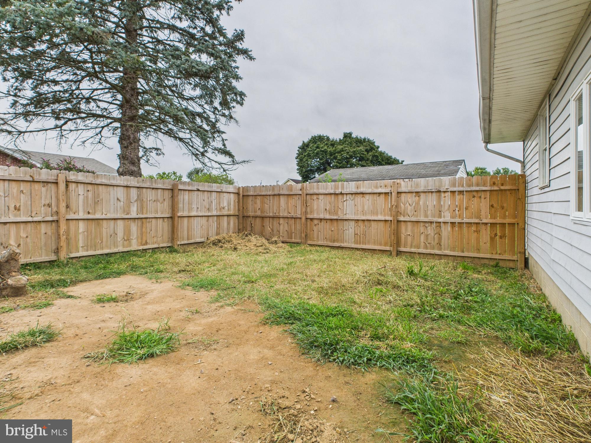 38 South Carter Road Smyrna, DE 19977 - Photo 18 of 30 a view of a backyard with a large tree