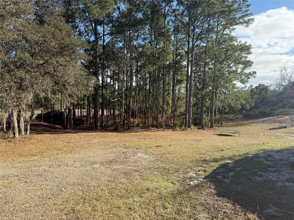 a view of yard with trees