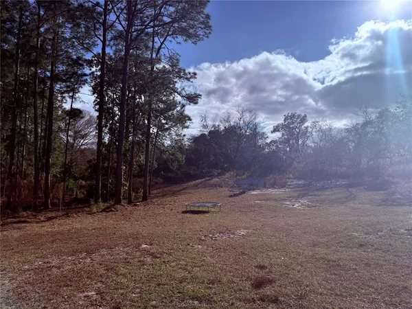 a view of a backyard with large trees