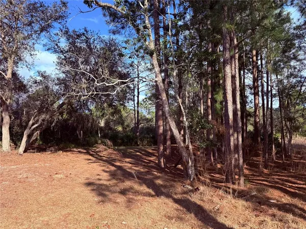 a view of outdoor space with trees