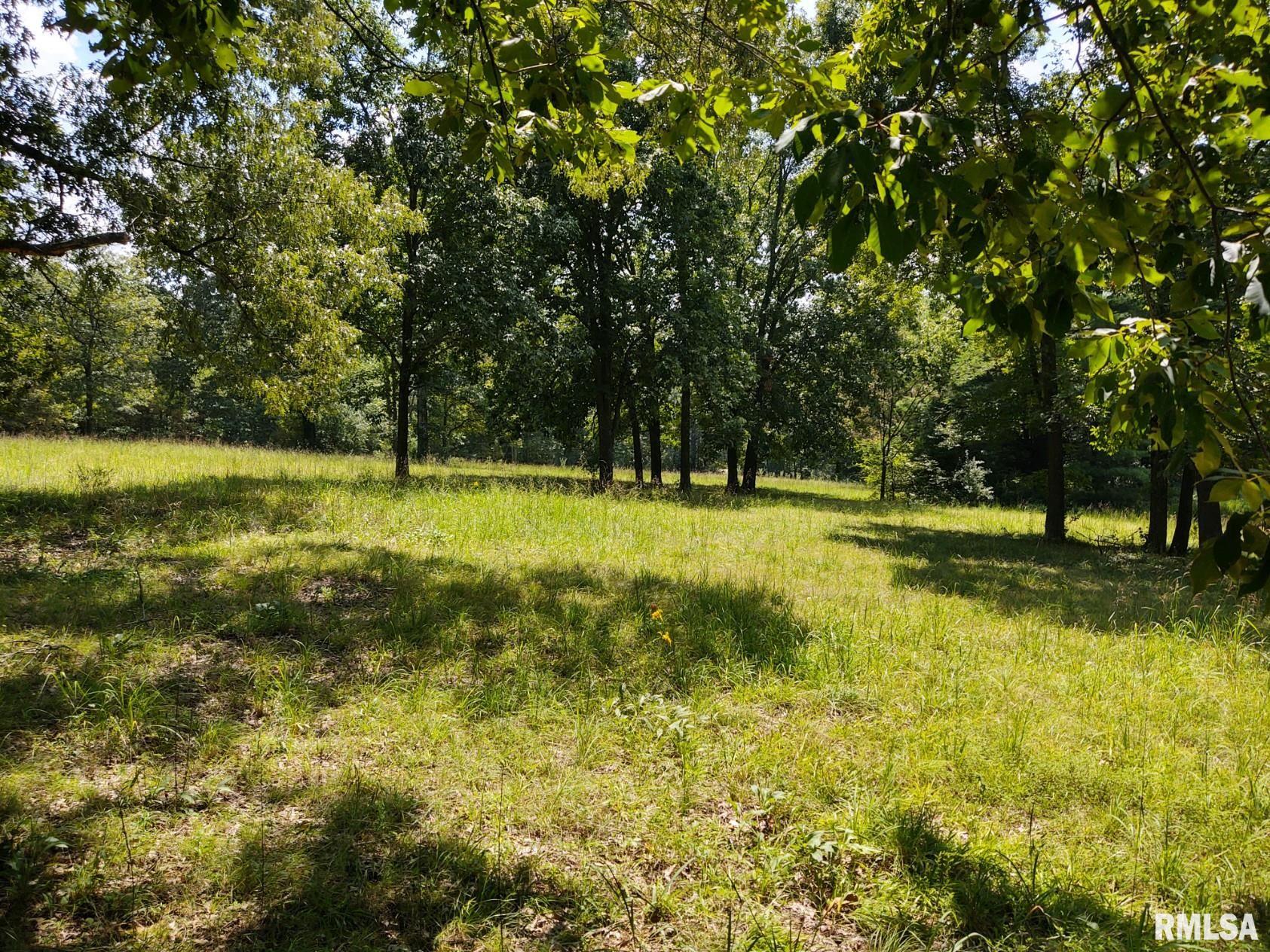 415 Bynum Road Ozark, IL 62972 - Photo 38 of 42