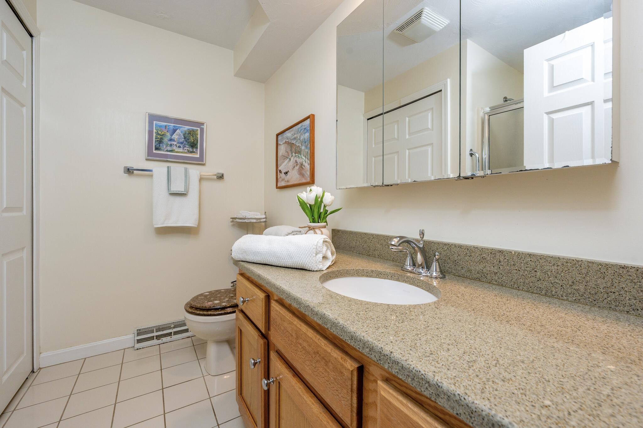 12 Kettle Lane Mashpee, MA 02649 - Photo 14 of 36 Primary bath