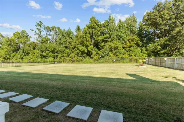 a view of a pathway with a yard