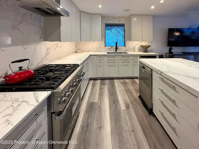 $30,000 | 107 Aspen Mountain Road, Unit 5, Aspen, CO 81611