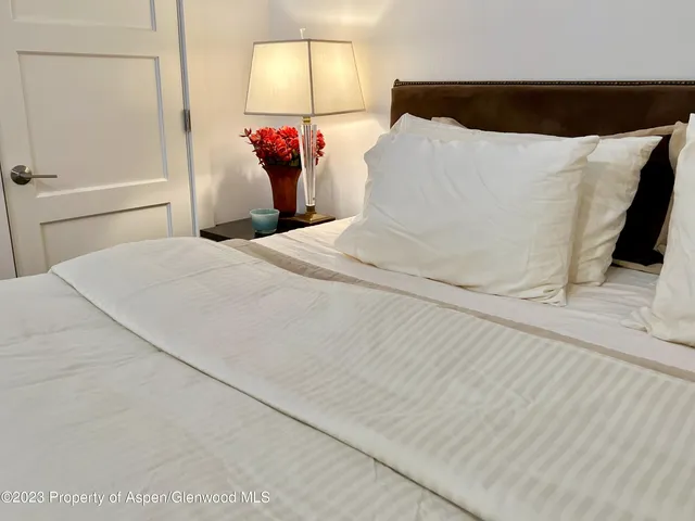 $30,000 | 107 Aspen Mountain Road, Unit 5, Aspen, CO 81611