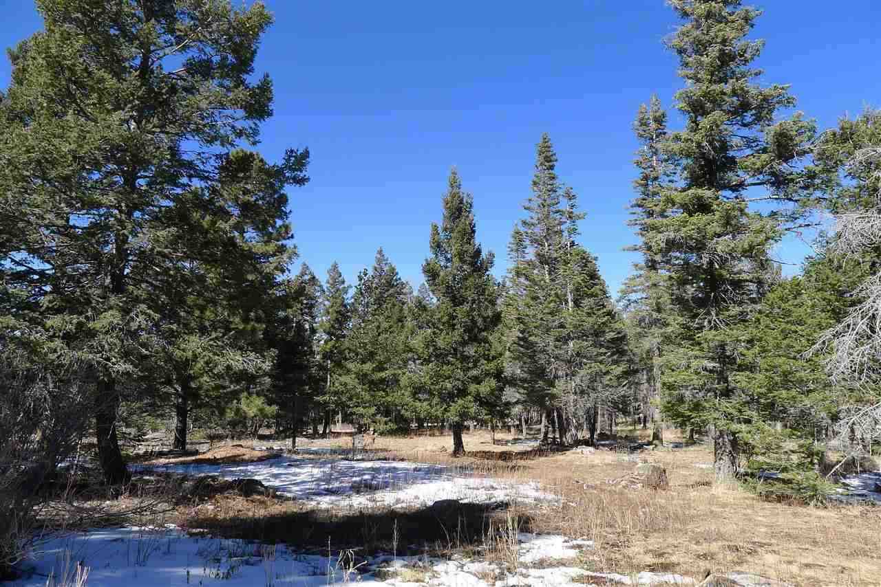 154 Big Dipper Road Cloudcroft, NM 88317 - Photo 1 of 1 Gallery Image 1