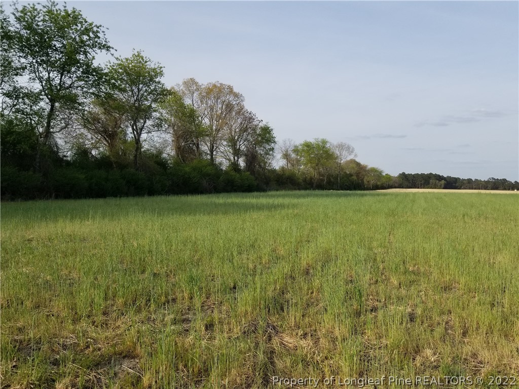 3411 Lockheed Court, Unit 3 Wade, NC 28395 - Photo 11 of 32 Gallery Image 11
