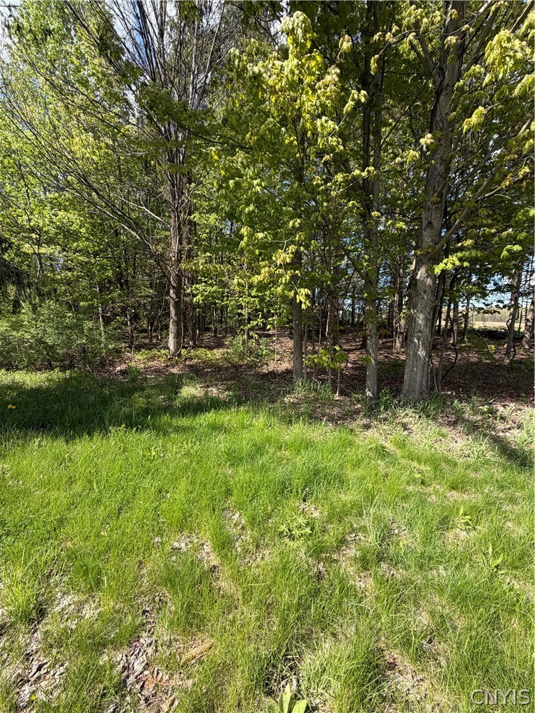 Emery Road Fulton, NY 13069 - Photo 6 of 9