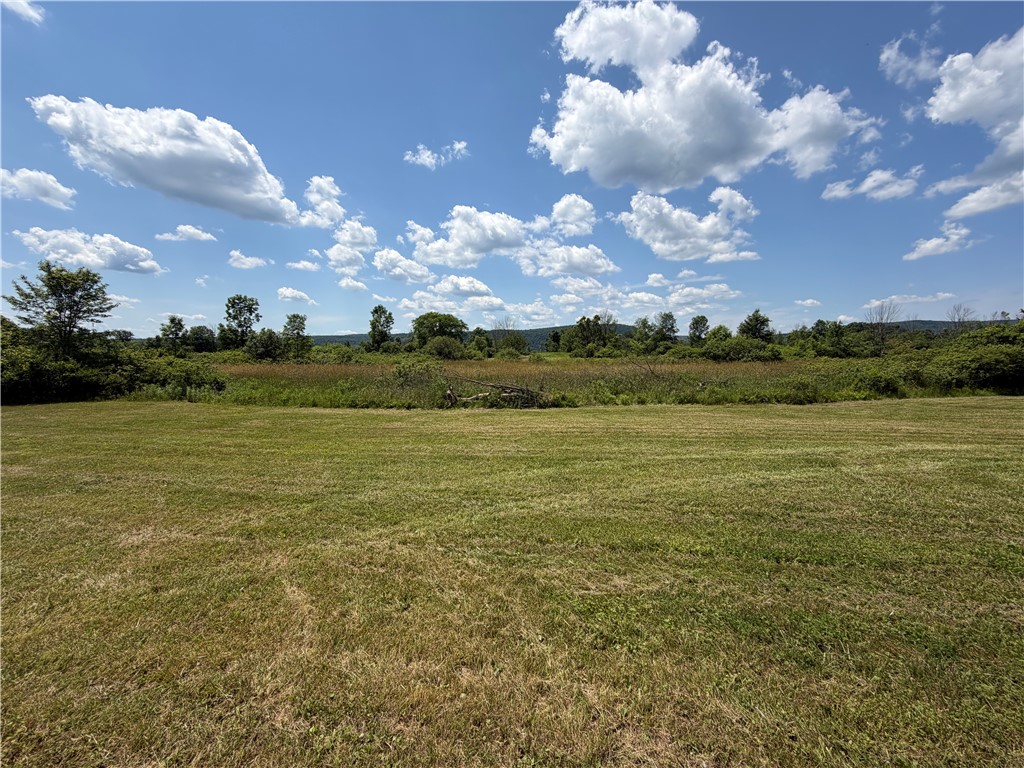 Middle Road Horseheads, NY 14845 - Photo 6 of 12