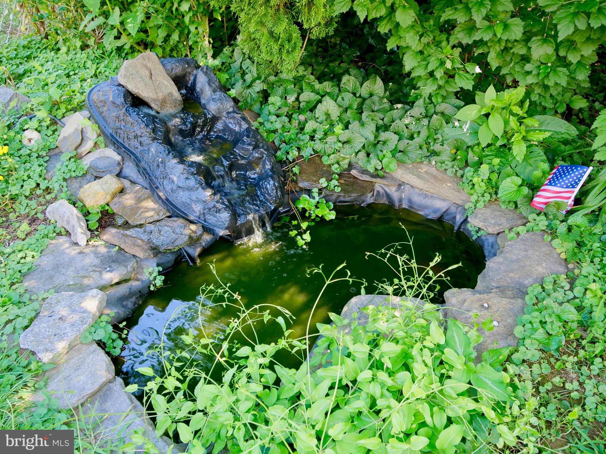 516 Rutledge Avenue Folsom, PA 19033 - Photo 26 of 28 Restful pond